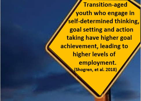 Street sign saying transiting-aged youth with goal setting have higher employment rates. 
