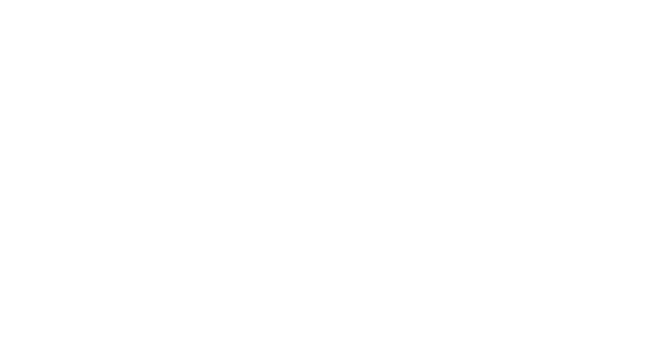 South Carolina Department of Disabilities and Special Needs Logo